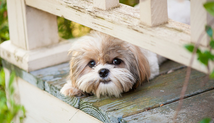 Certified home inspector | Home Inspection Training & Certification Online Certified home inspector