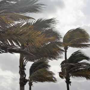 Wind Mitigation Course Florida